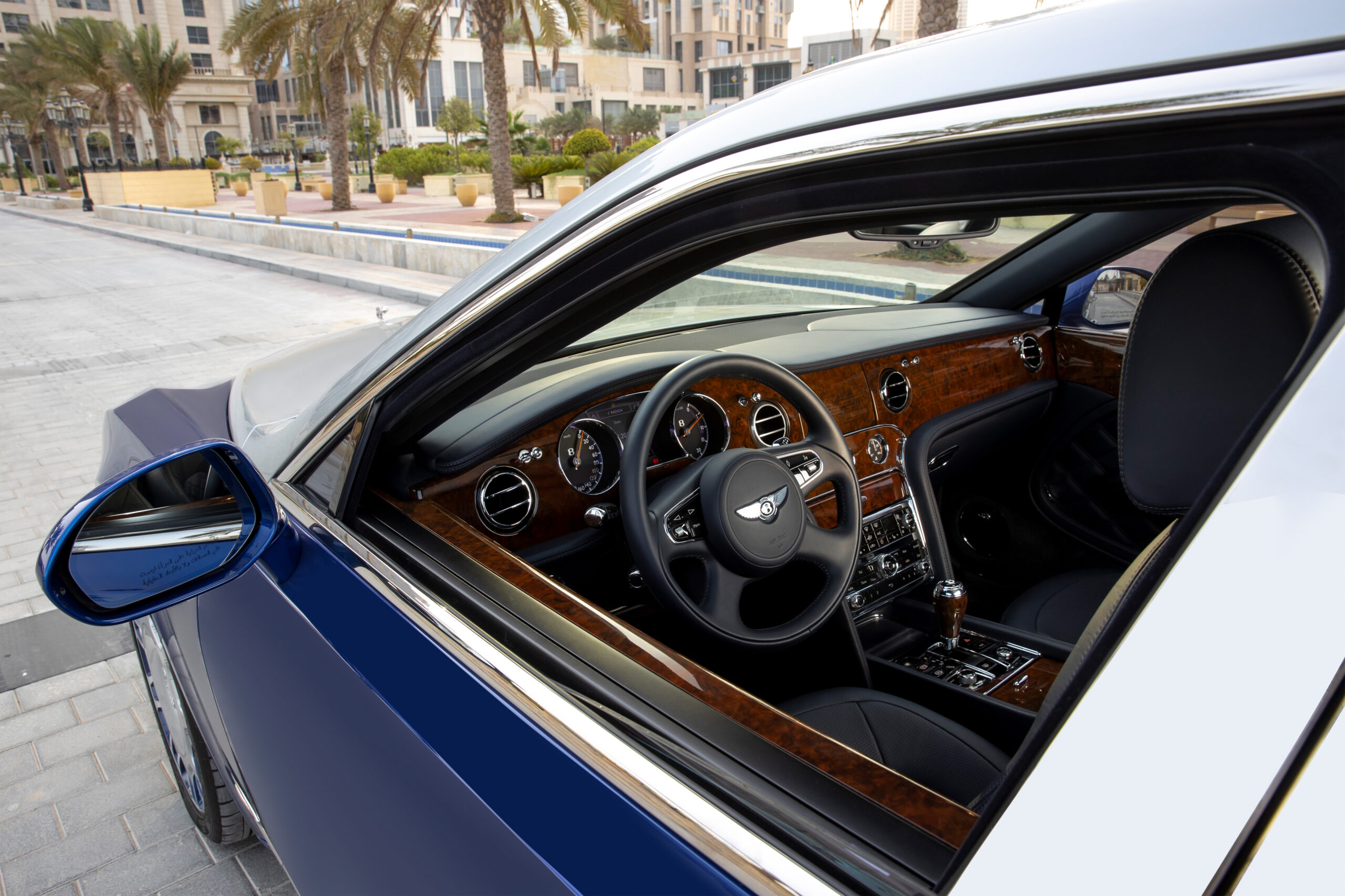 Veneer burl walnut and leather blanket the cabin.
